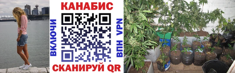 мега ССЫЛКА  Вельск  Марихуана Bruce Banner 